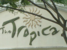 The Tropica (D18), Condominium #1054822